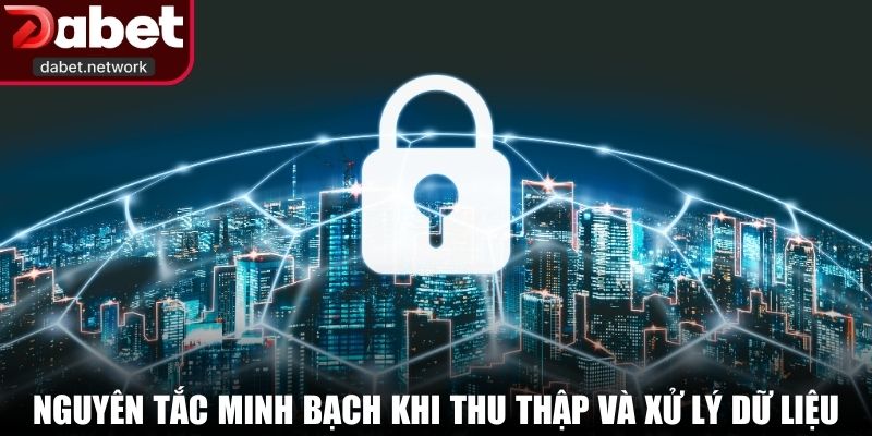 Nguyên tắc minh bạch khi thu thập và xử lý dữ liệu hội viên
