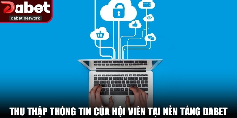 Thu thập thông tin của hội viên tại nền tảng DABET